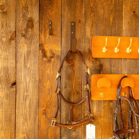 Grande Carabina Deluxe per Tappetino da Grooming di Kentucky Nero