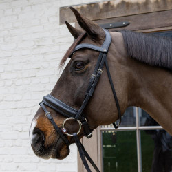 Filet ad anelli Flex Hard Velari Filet ad anelli Flex Hard Velari