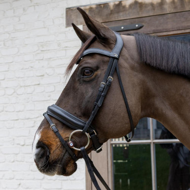 Filet ad anelli Flex Hard Velari Filet ad anelli Flex Hard Velari