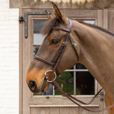 Filet a oliva Flex Hard Velari