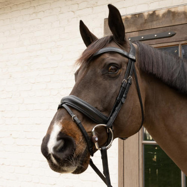 Filet a oliva Flex Hard Velari