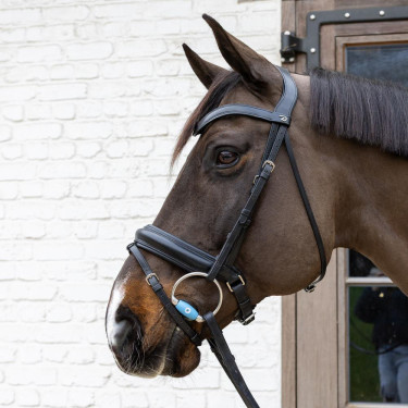 Filet a olive Flex Medium Velari