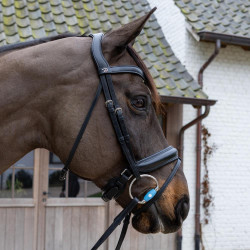 Filet a olive Flex Medium Velari