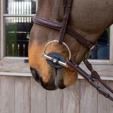 Filet a oliva Soft Flex Soft Velari