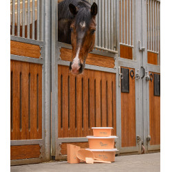 Pala per cereali Waldhausen Pesca Rosa