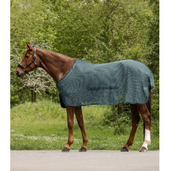 Coperta anti-mosche Waldhausen Comfort con bavetta ventrale Verde pino Coperta anti-mosche Waldhausen Comfort con bavetta ventrale Verde pino