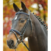 Bridon Star Diamond Nero