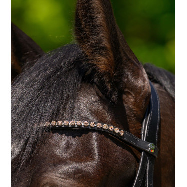 Frontal Glam nero X-Line Waldhausen Nero / pesca
