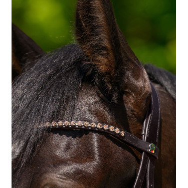 Frontalino X-Line Waldhausen Glam Marrone / pesca