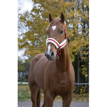 Capezzina Norton Confort Capezzina Norton Confort
