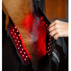 Protettore del garretto Horseware Therapy con luce LED rossa Nero / nero