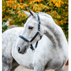 Capezzina da grooming Horseware Marina Blu marino