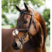 Briglia Grackle a forma di 8 Horseware con capezzina incrociata Marrone