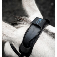 Coprinuca Horseware Ionic Therapy Nero