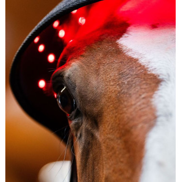Cuffia Terapia a Luce Rossa LED Horseware Nero / nero