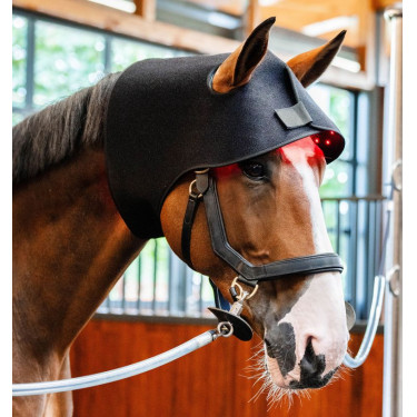 Cuffia Terapia a Luce Rossa LED Horseware Nero / nero