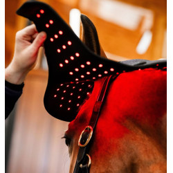 Cuffia Terapia a Luce Rossa LED Horseware Nero / nero