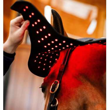 Cuffia Terapia a Luce Rossa LED Horseware Nero / nero
