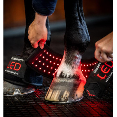 Mini Paragliera Terapeutica Horseware con Luce Rossa LED Nero / nero