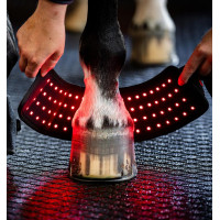 Mini Paragliera Terapeutica Horseware con Luce Rossa LED Nero / nero