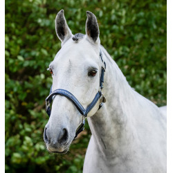 Capezzina da grooming Horseware Marina Blu marino