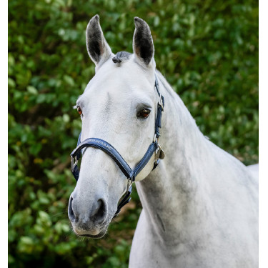 Capezzina da grooming Horseware Marina Blu marino