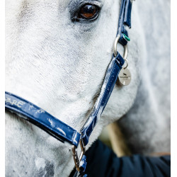 Capezzina da grooming Horseware Marina Blu marino