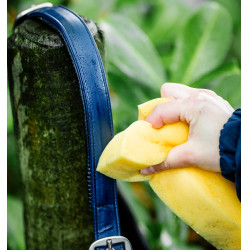 Capezzina da grooming Horseware Marina Blu marino