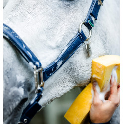 Capezzina da grooming Horseware Marina Blu marino