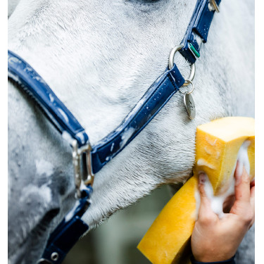 Capezzina da grooming Horseware Marina Blu marino