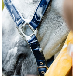 Capezzina da grooming Horseware Marina Blu marino