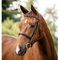 Briglia Horseware Hunter Marrone / havana