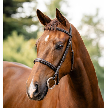 Briglia Horseware Hunter Marrone / havana