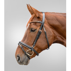 Briglia Star oro rosa Nero