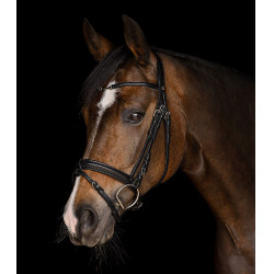 Briglia Waldhausen X-Line Charmbit Nero