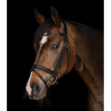 Briglia Waldhausen X-Line Charmbit Nero