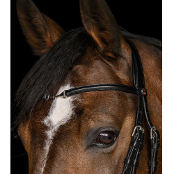 Briglia Waldhausen X-Line Charmbit Nero