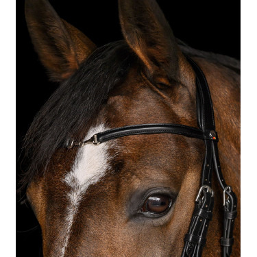 Briglia Waldhausen X-Line Charmbit Nero