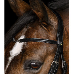 Briglia Waldhausen X-Line Charmbit Nero