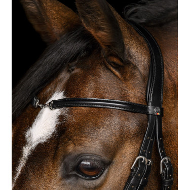 Briglia Waldhausen X-Line Charmbit Nero