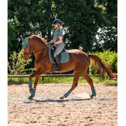 Stivaletti protezione zoccoli Waldhausen Performance Verde pino