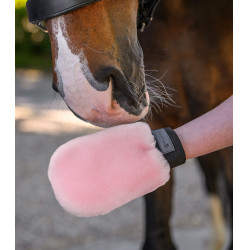 Guanto da strigliare Waldhausen in pelle d’agnello Lucky Rosa