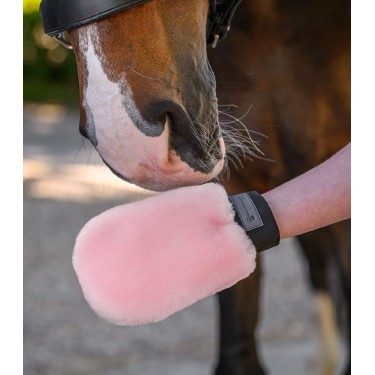 Guanto da strigliare Waldhausen in pelle d’agnello Lucky Rosa