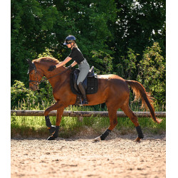 Paragambe da dressage Waldhausen Air Performance Nero
