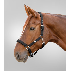 Capezzina Waldhausen Trinidad Nero