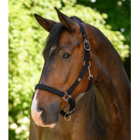 Capezzina Waldhausen Trinidad Nero