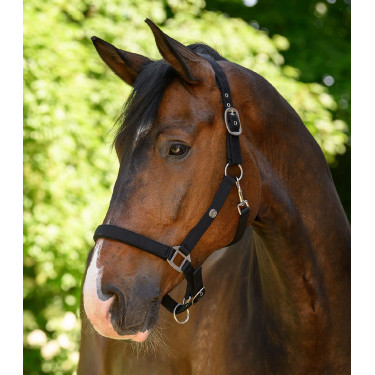 Capezzina Waldhausen Trinidad Nero