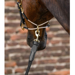 Lunga Royal Waldhausen con dettagli in pelle Nero