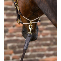 Lunga Royal Waldhausen con dettagli in pelle Marrone