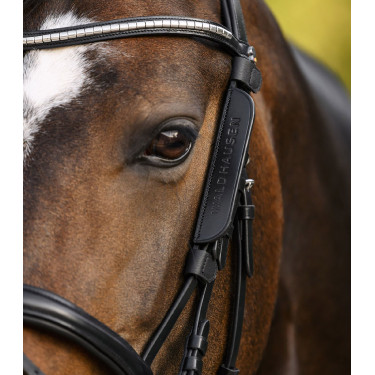 Parafronte Waldhausen piccolo Nero